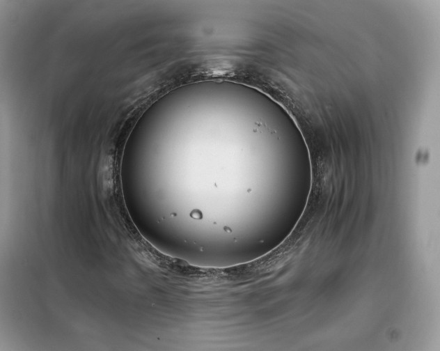 X0000102381442200808011526
