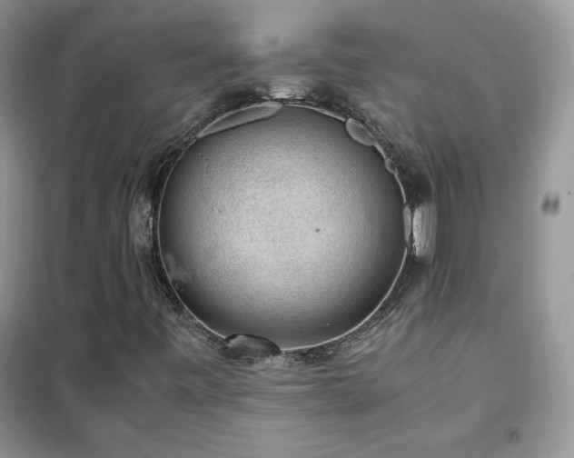 X0000102381443200808011526