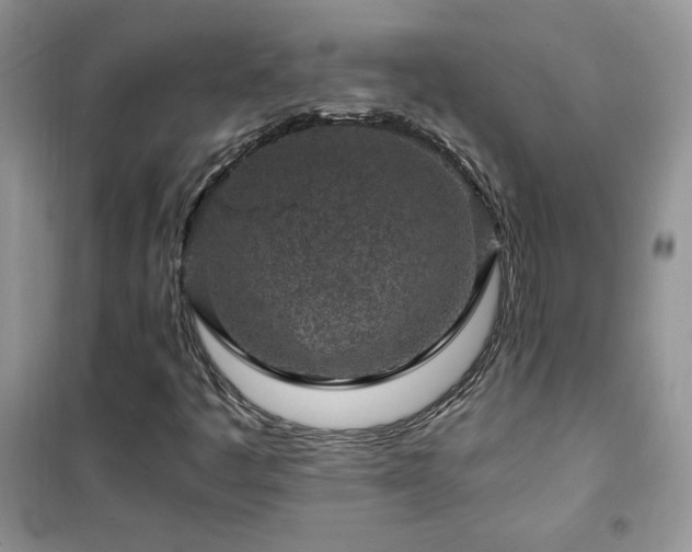 X0000102381445200808011526