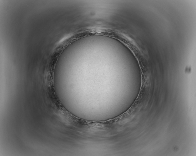 X0000102381446200808011526