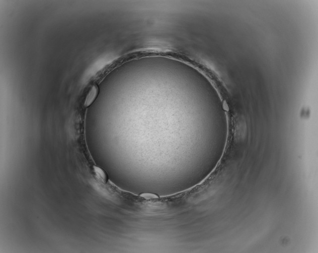 X0000102381448200808011526