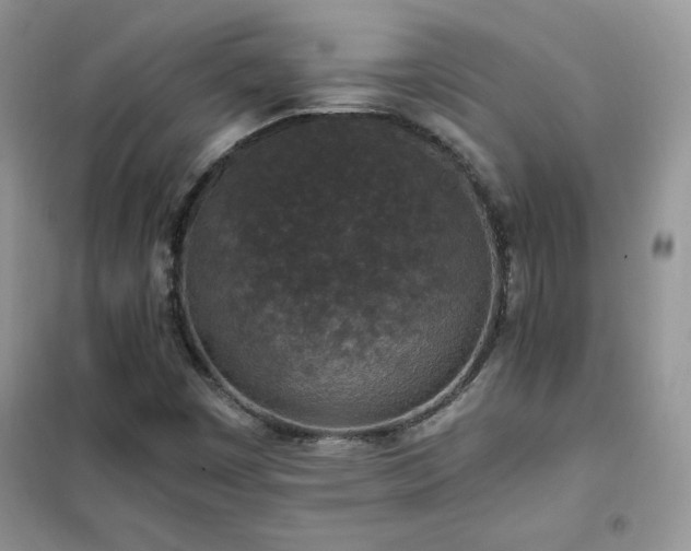 X0000102381449200808011526