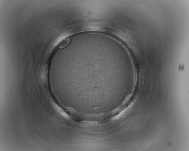 X0000102381450200808011526