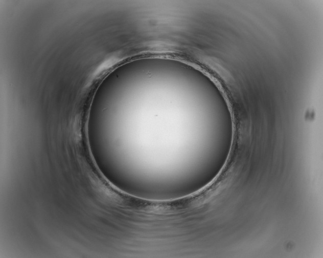 X0000102381451200808011526