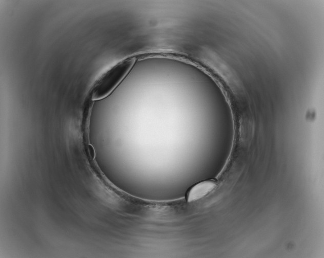 X0000102381452200808011526