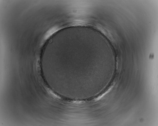X0000102381453200808011526