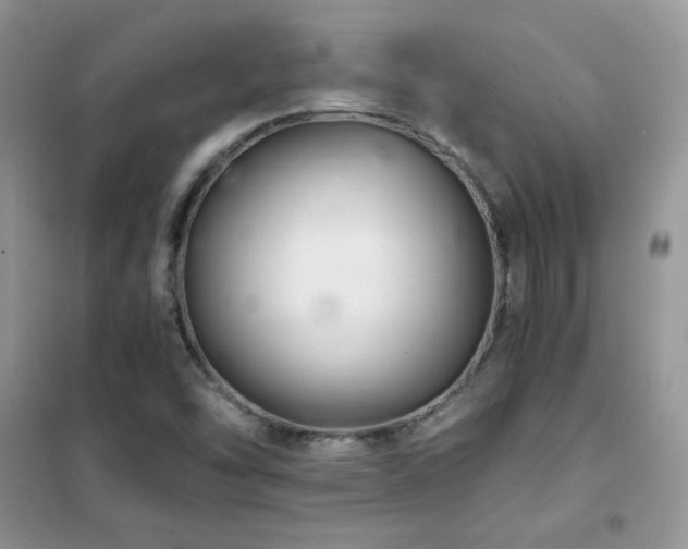 X0000102381454200808011526