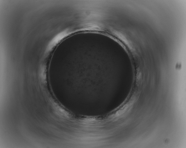 X0000102381455200808011526