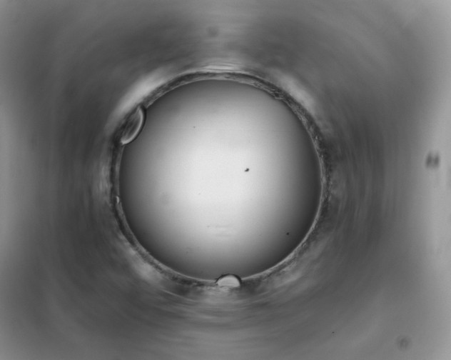 X0000102381456200808011526
