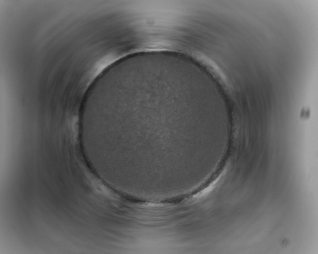 X0000102381457200808011526