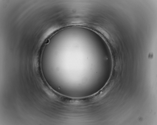X0000102381458200808011526