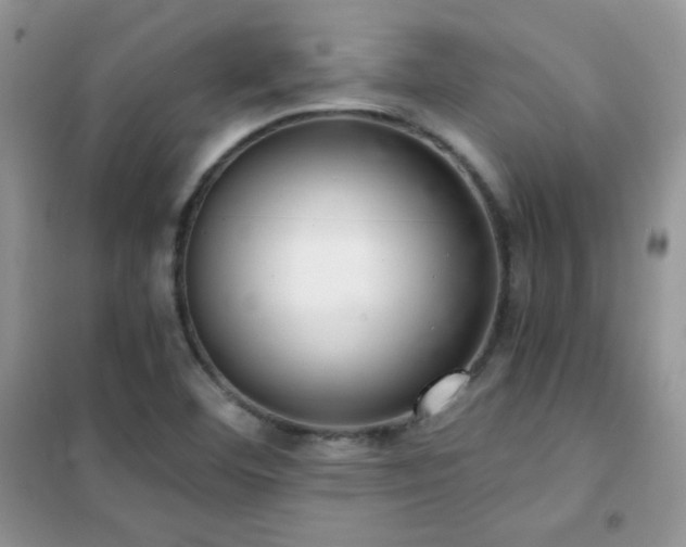 X0000102381460200808011526