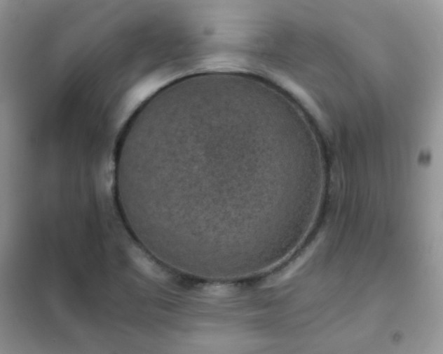 X0000102381461200808011526