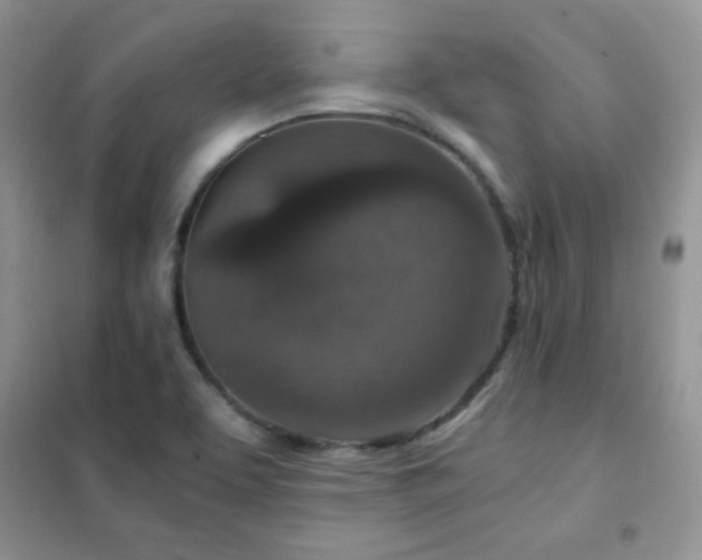 X0000102381463200808011525