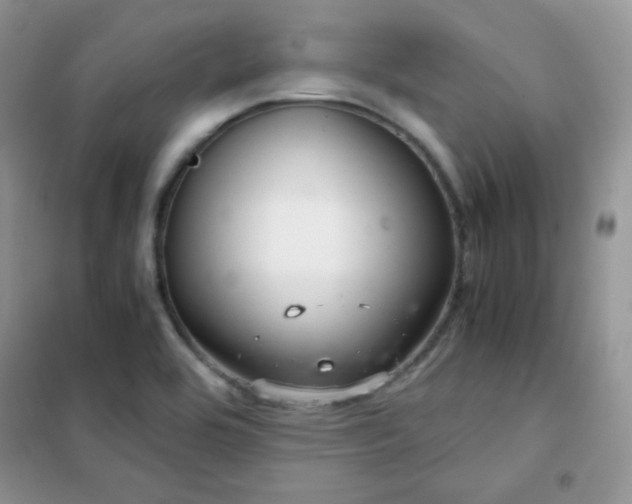 X0000102381464200808011525