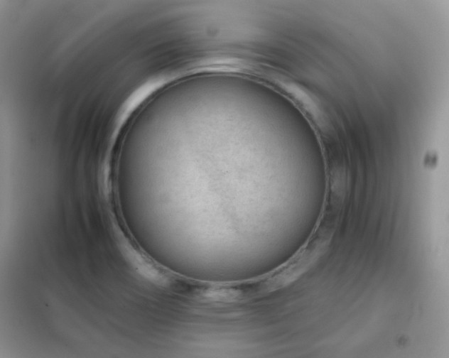 X0000102381466200808011525