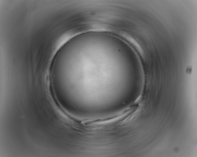X0000102381467200808011525