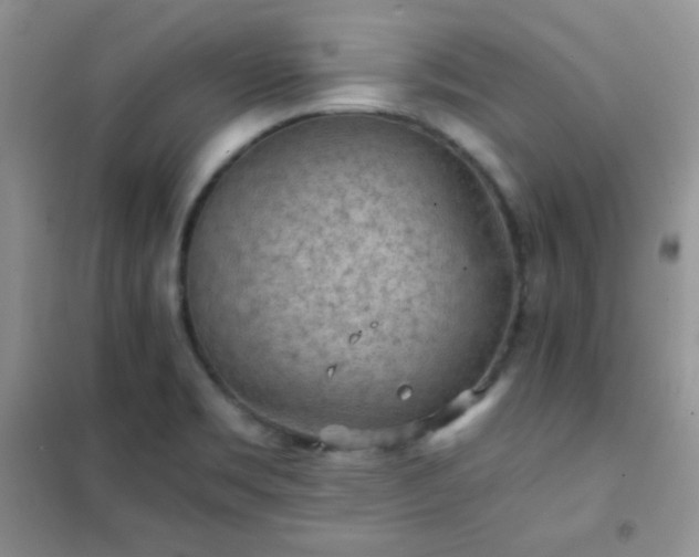 X0000102381469200808011525