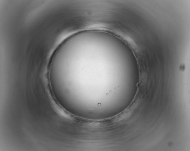 X0000102381470200808011525