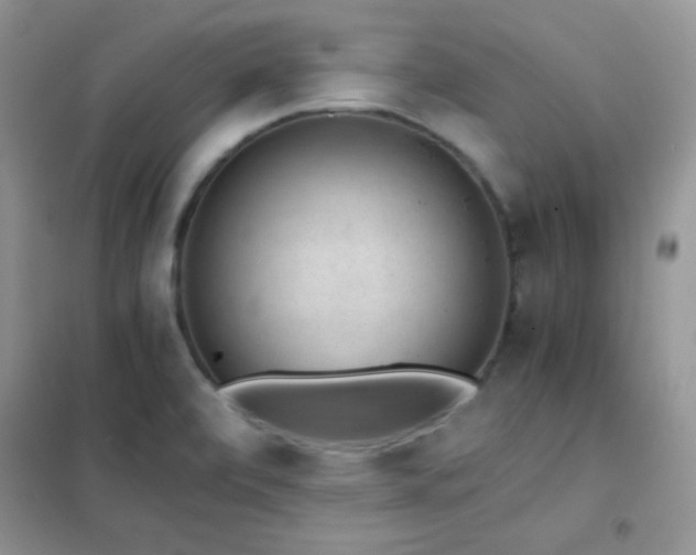 X0000102381472200808011525