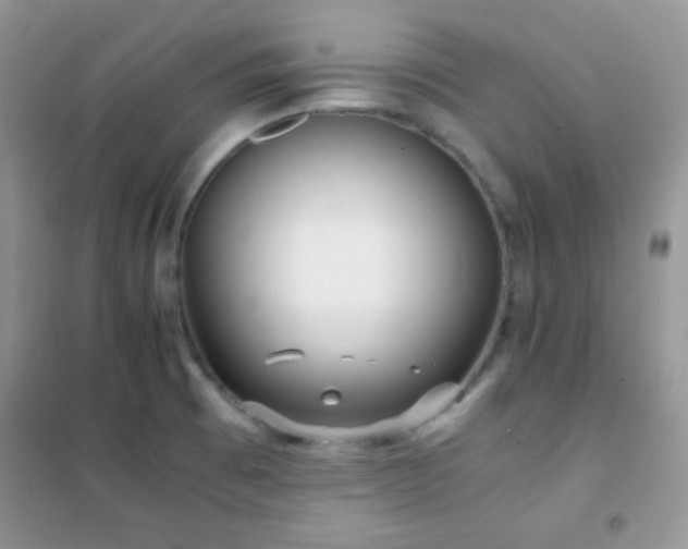 X0000102381473200808011525