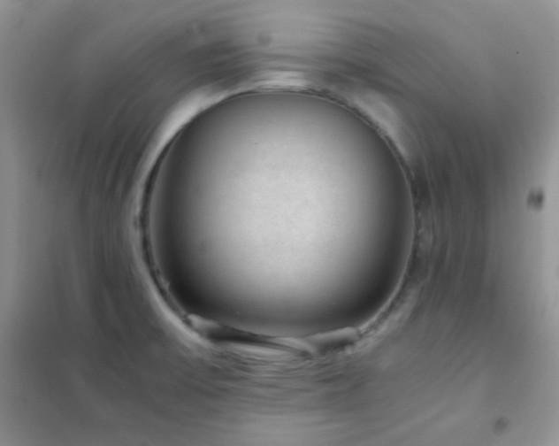 X0000102381475200808011525