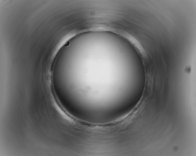 X0000102381476200808011525