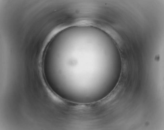X0000102381478200808011525
