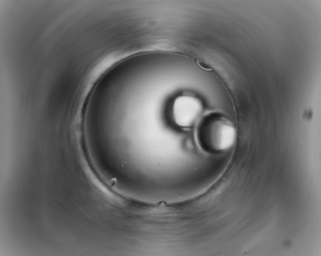 X0000102381479200808011525