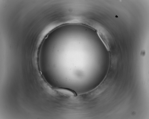 X0000102381480200808011525