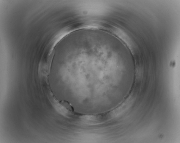X0000102381481200808011525