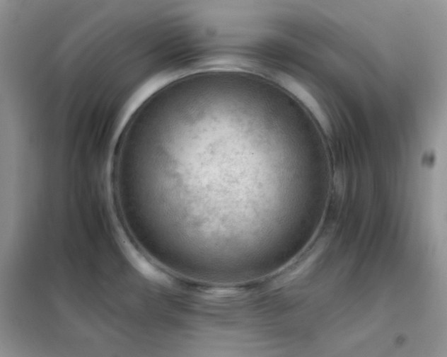 X0000102381482200808011525