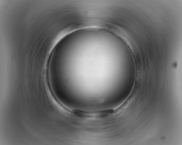X0000102381483200808011525