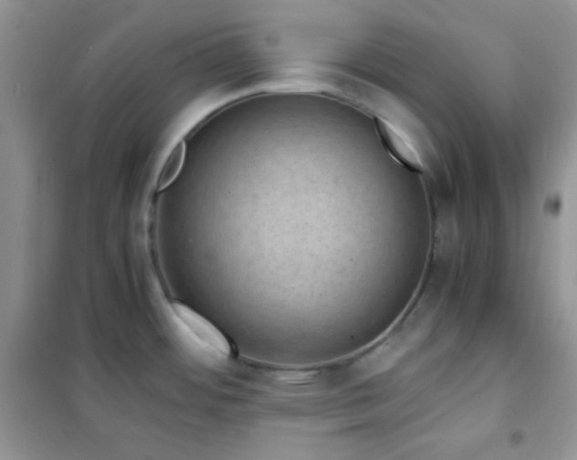 X0000102381484200808011525