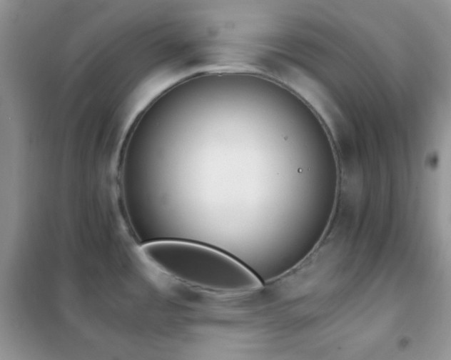 X0000102381485200808011525