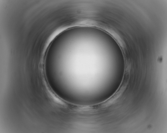 X0000102381486200808011525
