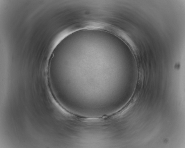 X0000102381487200808011525