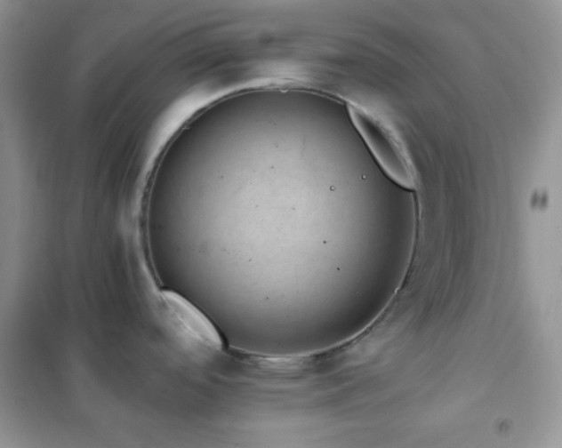 X0000102381488200808011525
