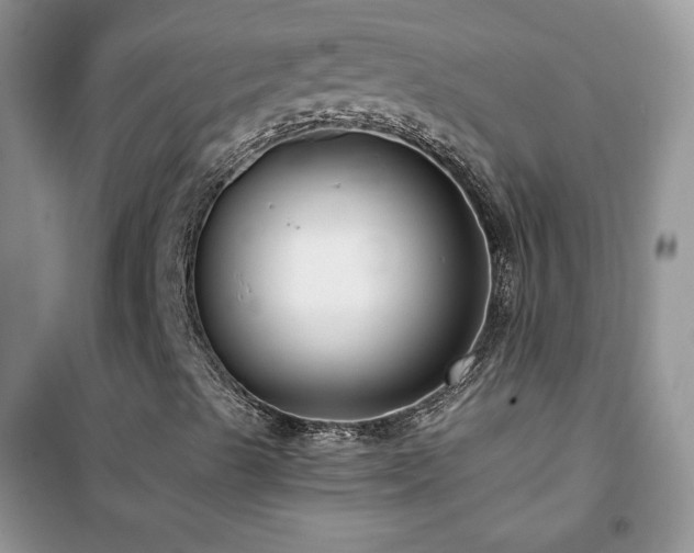 X0000102381489200808011524