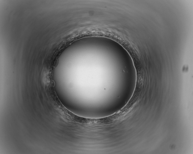 X0000102381490200808011524