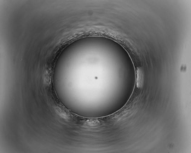 X0000102381491200808011524