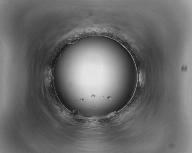X0000102381492200808011524