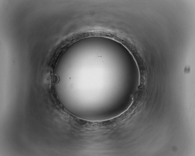 X0000102381493200808011525