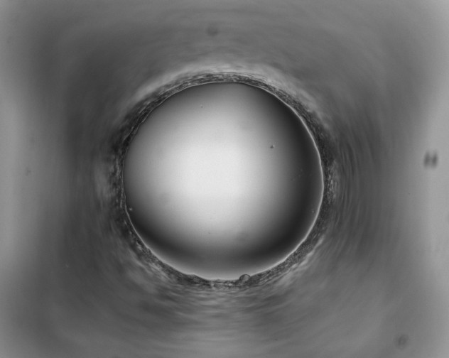 X0000102381494200808011525