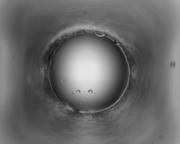 X0000102381495200808011525