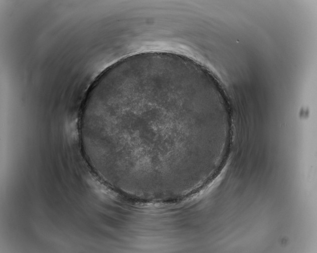 X0000102381497200808011525