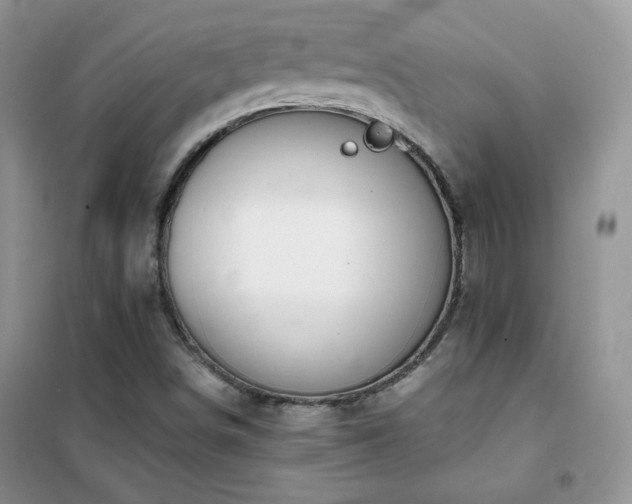X0000102381498200808011525