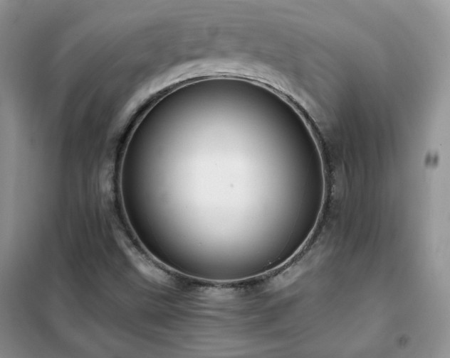 X0000102381499200808011525