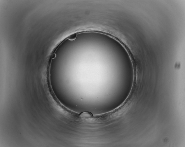 X0000102381500200808011525