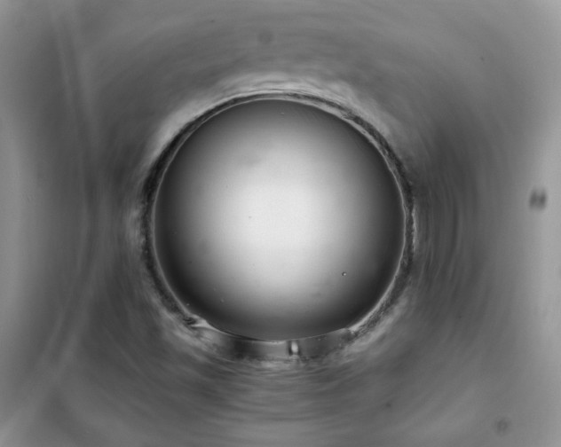 X0000102381501200808011525